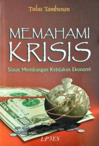 Image of Memahami Krisis: Siasat Membangun Kebijakan Ekonomi